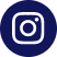 icone instagram