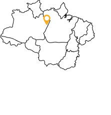 Paratins <small>(AM)</small>